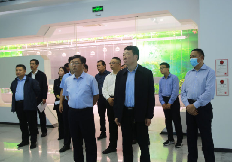 临沂市委副书记、市长任刚一行到金正大集团调研指导